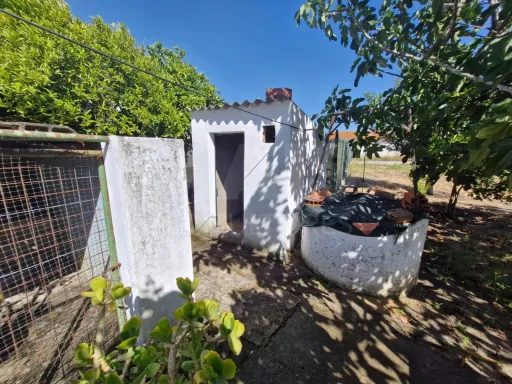 Quintinha com Moradia T2, Anexo/Armazém e Terreno de 1.247 m² em Foros de Salvaterra