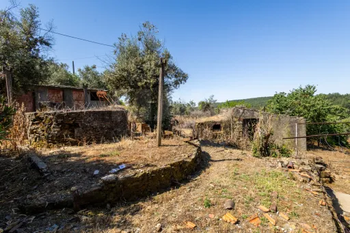 PROPRIEDADE DE CARÁTER NA N2 | 400 m² DE CONSTRUÇÃO, OLIVAL E POTENCIAL TURÍSTICO