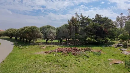 2 Terrenos Confinantes  