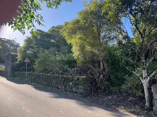 Terreno Urbano com Ruína