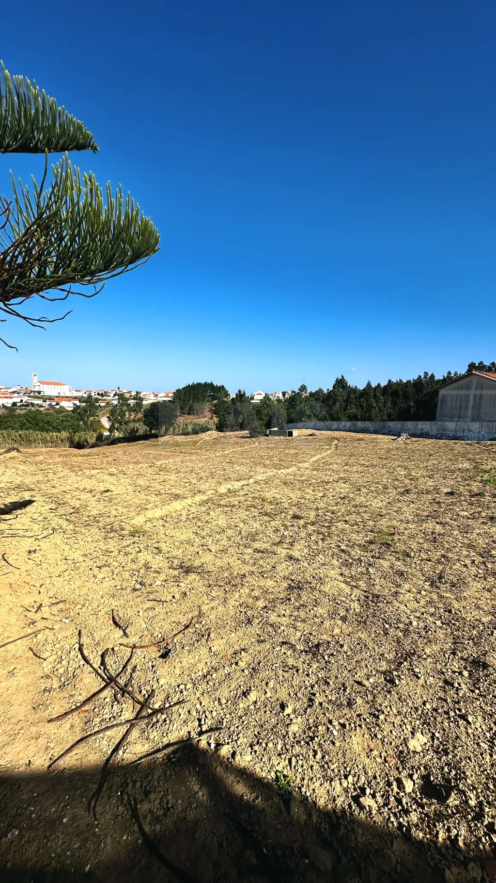 Terreno com 6.042 m² | Potencial de Construção | Santa Bárbara, Lourinhã