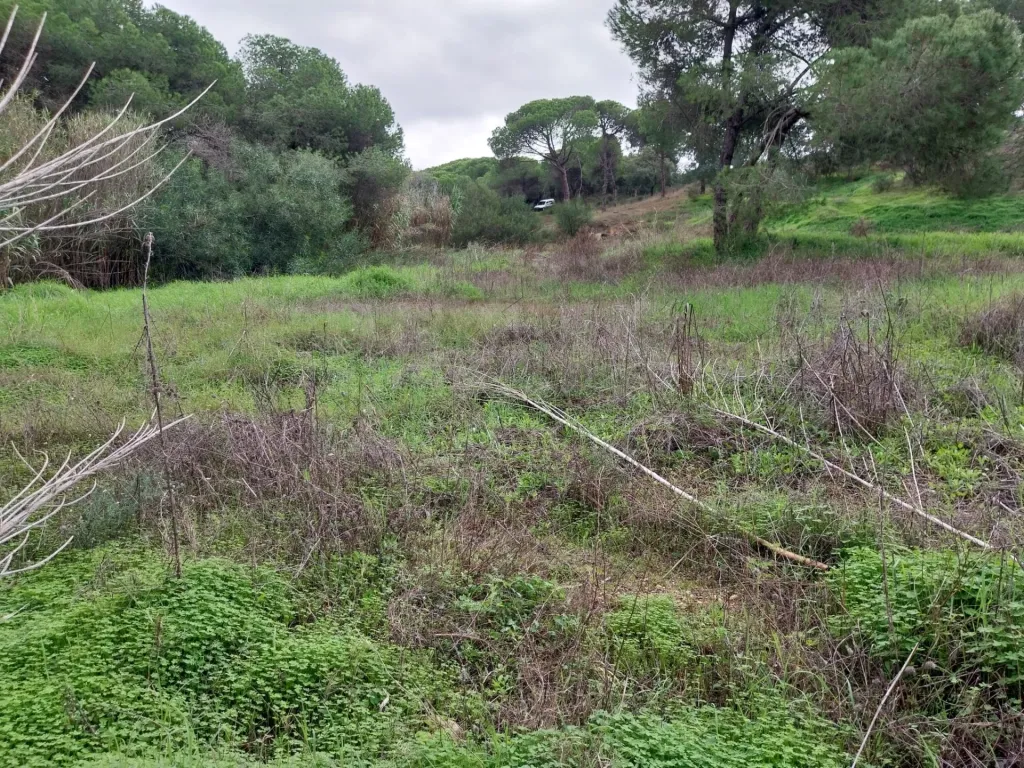 Lote de terreno em Vale Verde Almancil