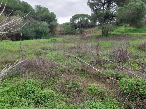 Lote de terreno em Vale Verde Almancil