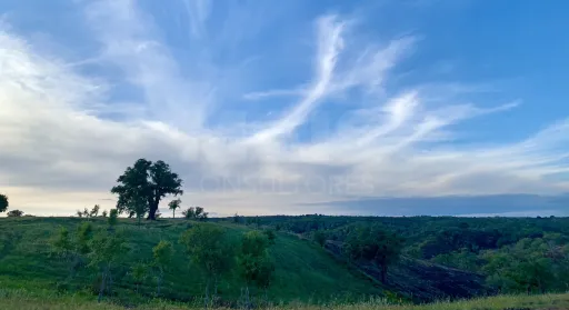 Herdade  com 40,85 hectares em São Bartolomeu da Serra, Santiago do Cacém