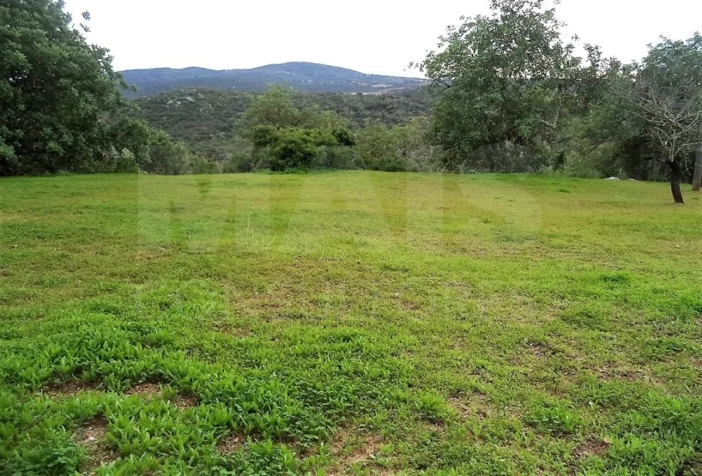 Ruína com 171m2 em terreno urbano com 468,5m2, vista serra e mar, entre São Brás de Alportel e Tavira