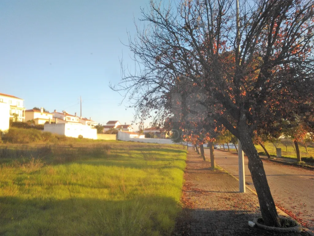 Lote de terreno para construçao de Moradia TORRES NOVAS