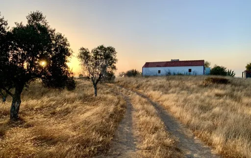 Herdade  com 40,85 hectares em São Bartolomeu da Serra, Santiago do Cacém