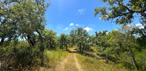Herdade com 11,6 hectares em São Bartolomeu da Serra, Santiago do Cacém