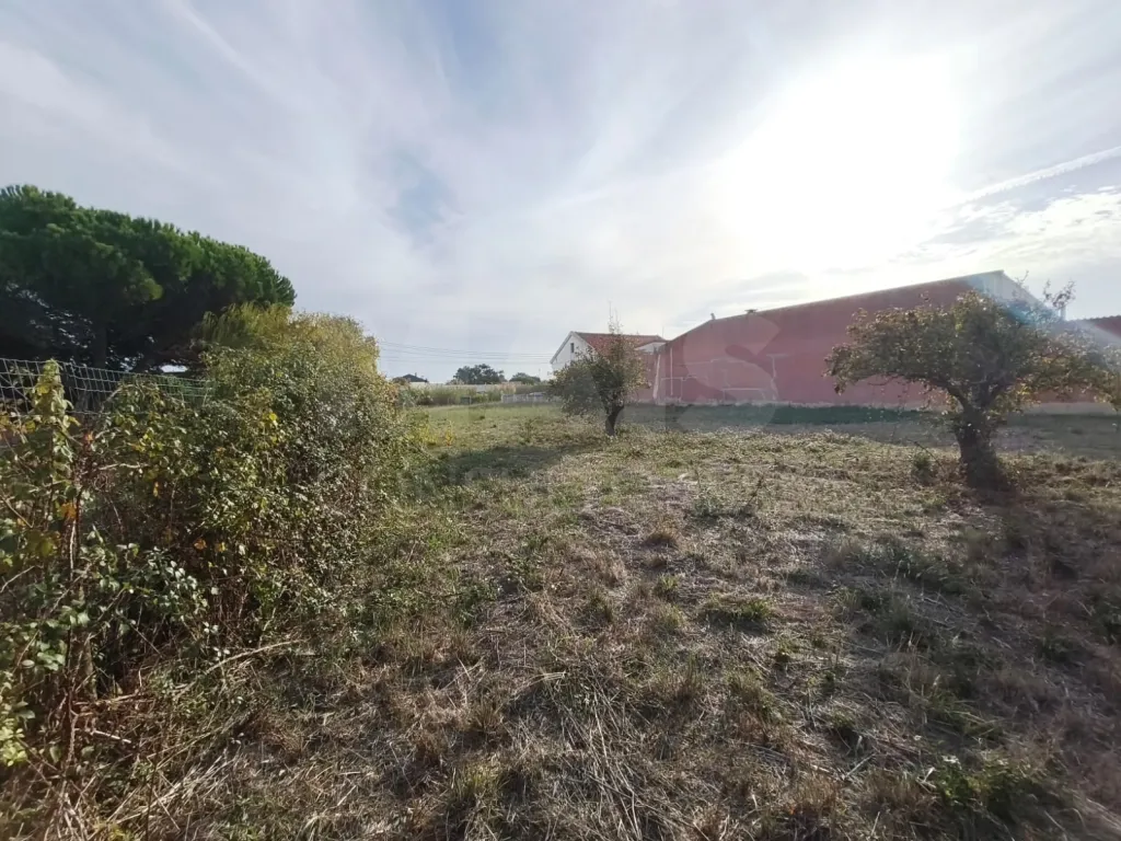 Excelente Oportunidade: Terreno Urbano para Construção no Campo (Caldas da Rainha)