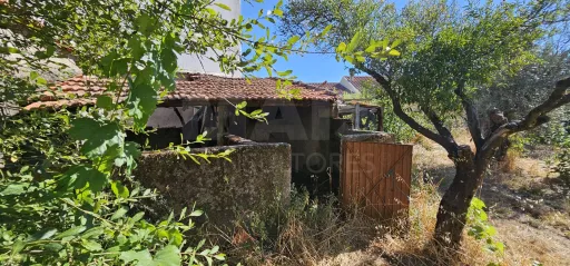Moradia 2 Pisos centro Peroviseu c/ Terreno 500m2 e Garagem