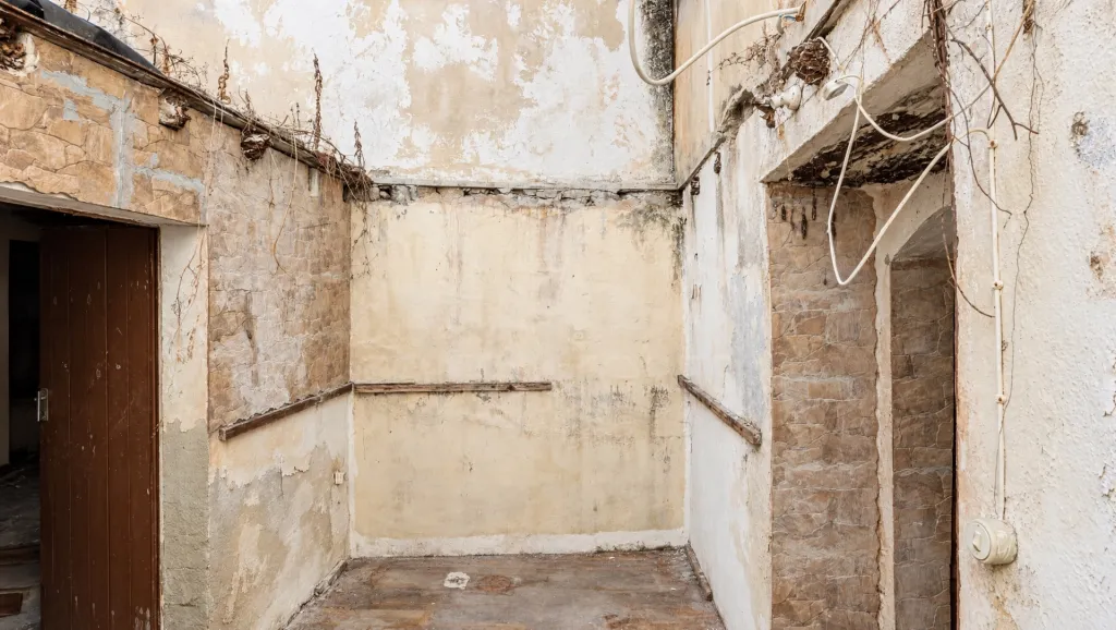 🏡 Great Opportunity! 2-Bedroom House in Ribafria, Ready for a Complete Renovation