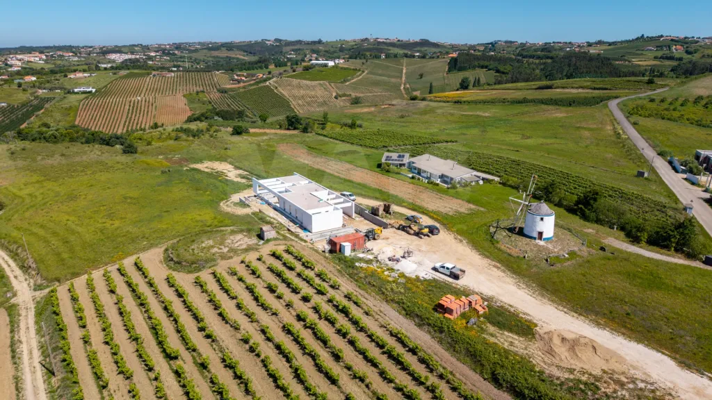 Moradia térrea T4 em terreno de 2 hectares no Carvalhal