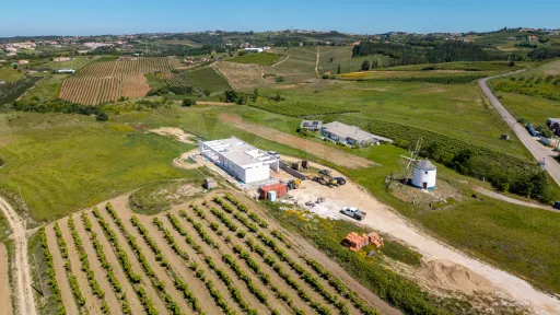 Moradia térrea T4 em terreno de 2 hectares no Carvalhal