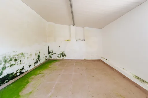 Moradia para recuperar e terreno com 20.123m2 na Fanadia
