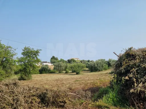 Terreno Misto com Ruina em TORRES NOVAS