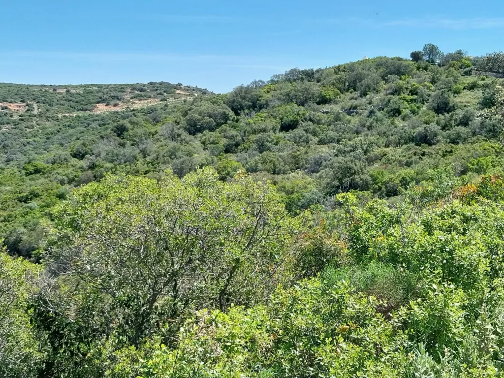 Terreno Rustico, vista serra.