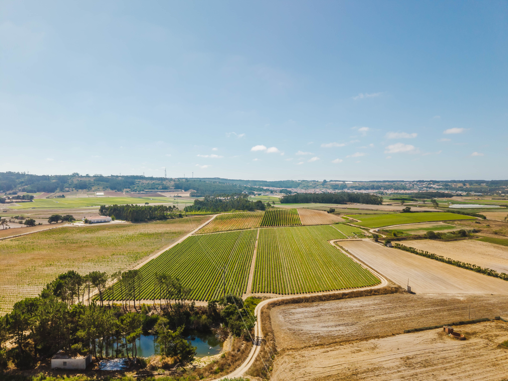 Terreno com viabilidade de construção
