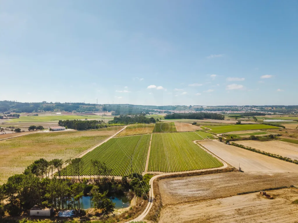 Terreno com viabilidade de construção