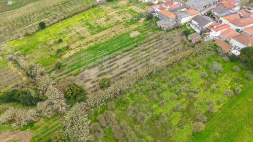 Terreno no centro da Usseira