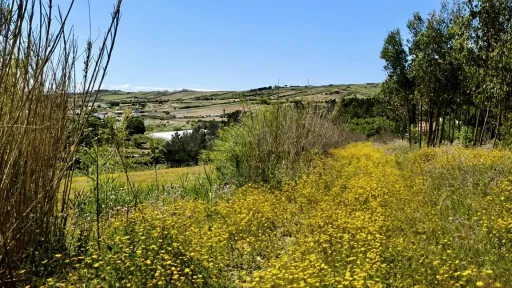 Terreno Rústico c/ 8.440m2