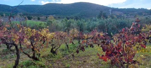 Magnífico Terreno de 2.200 m² em Pragança, Cadaval