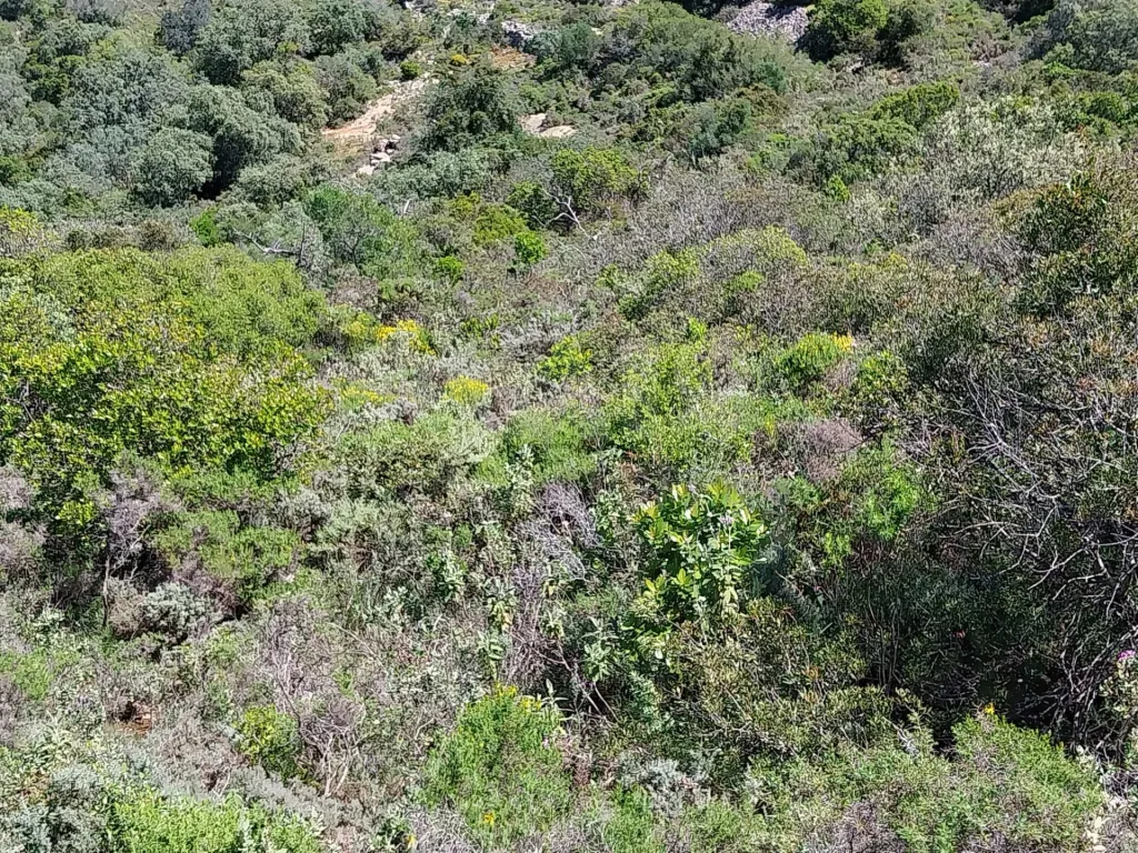 Terreno Rustico, vista serra.