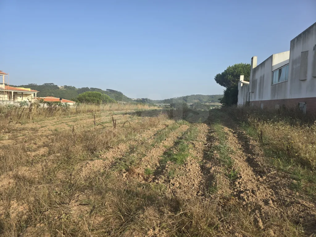 Terreno com Potencial de Construção | Tornada – Caldas da Rainha