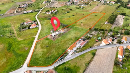 Farm with detached 3-bedroom house, set in a plot of land with 17890 m2 in Biscainho