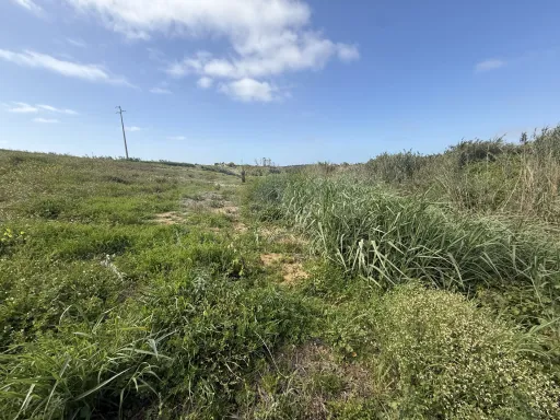 Terreno Rústico Exclusivo com Vista Mar | Natureza e Lifestyle Próximo das Praias de Peniche