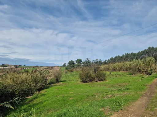 Terreno Rustico - Reinaldes