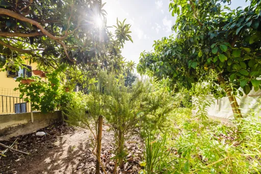 Propriedade única, a apenas 2 km de Alcobaça, com mais de 30.000 m² de terreno