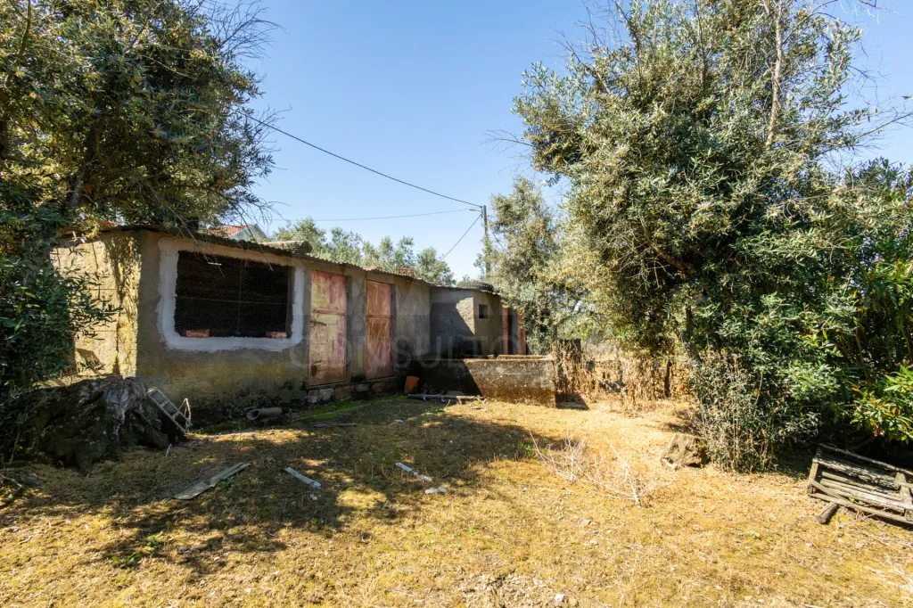 PROPRIEDADE DE CARÁTER NA N2 | 400 m² DE CONSTRUÇÃO, OLIVAL E POTENCIAL TURÍSTICO