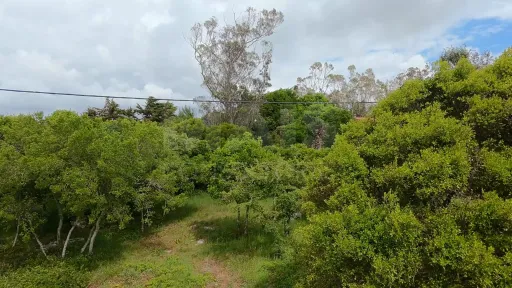 Terreno com 2 280m² em Cezaredas – Oportunidade Única!