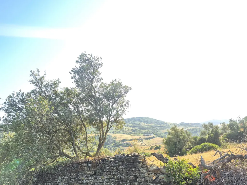 14,680 m² of rural land in S. João dos Montes - Alhandra