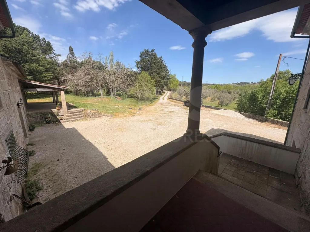 Herdade / Quinta com 25–27 ha, vinha em produção, olival e piscina – Serra da Estrela, Gouveia