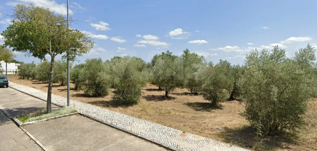 Terreno Rustico, urbanizável, Vila Nova da Barquinha