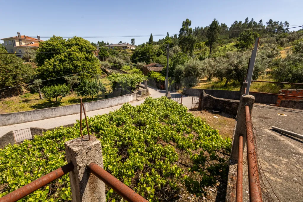 PROPRIEDADE DE CARÁTER NA N2 | 400 m² DE CONSTRUÇÃO, OLIVAL E POTENCIAL TURÍSTICO