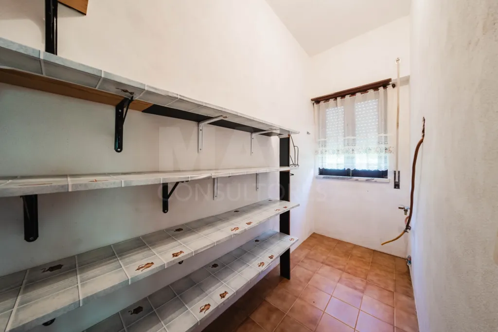 Moradia Isolada com Terreno de 9.840 m² em Barreiras – Cadaval