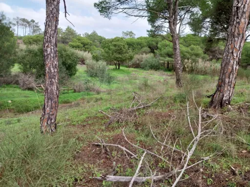 Lote de terreno em Vale Verde Almancil
