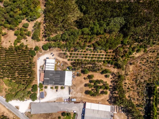 Terreno com 7950m2, perto das praias da Nazaré e São Martinho do Porto