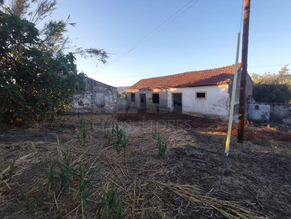Quinta com moradia para recuperar na zona de Abrantes