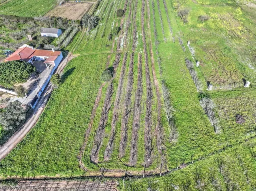 Terreno c/ Projecto Aprovado p/ Moradia T3 c/ 3 Suites, Parqueamento, Jardim e Piscina!