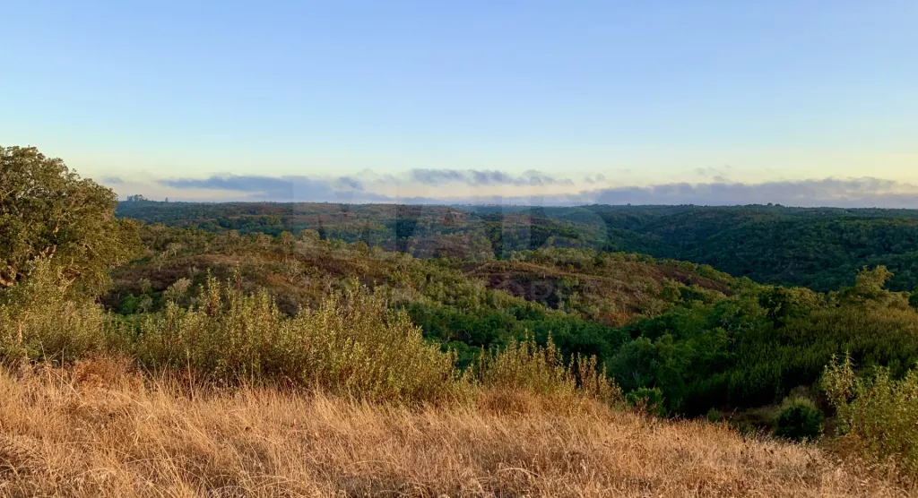 Herdade com 52,45 hectares em São Bartolomeu da Serra, Santiago do Cacém