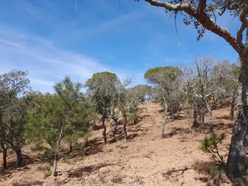 Terreno Urbano com 8.4 H em Melides