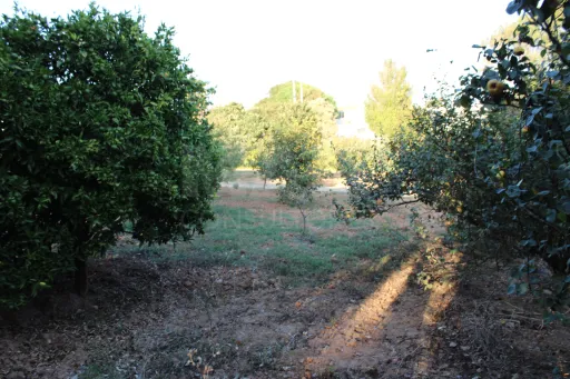 Plot with approved project for a villa ready to be built.