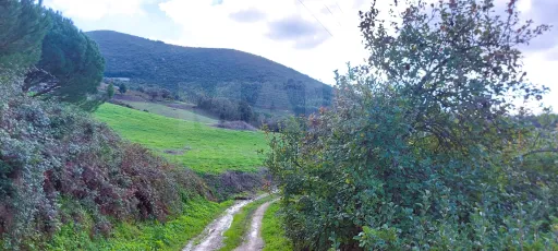 Magnífico Terreno de 2.200 m² em Pragança, Cadaval