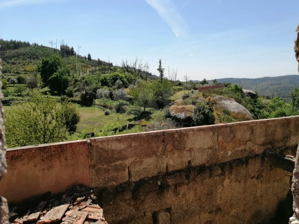 Terreno para Construção em concelho de Tondela com área de 445,5 m2