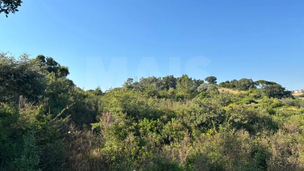 14,680 m² of rural land in S. João dos Montes - Alhandra