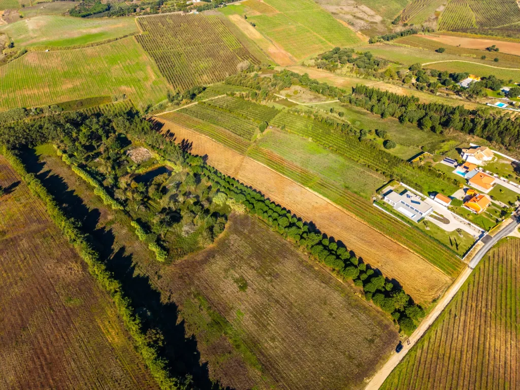 Terreno de 7240m2 com vista deslumbrante para a Serra do Montejunto