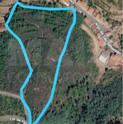 Terreno Misto com Ruína - Alcongosta, Fundão, Portugal